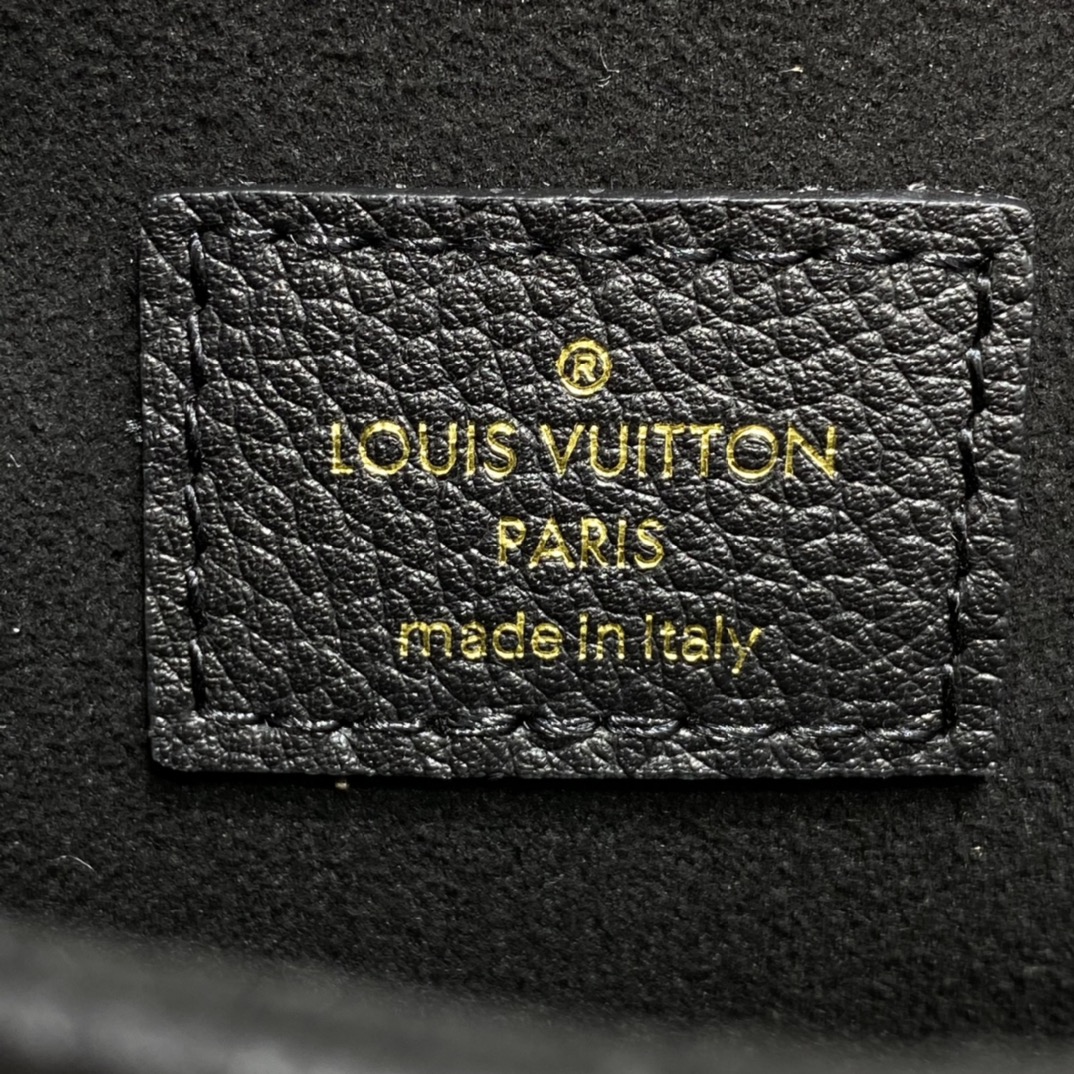 Louis Vuitton FAVORITE Monogram Shoudler Bag  M45859 Black/Beige